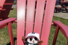 Swoop in a chair at the park.