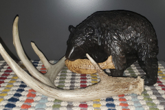 Antler 1