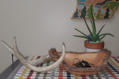 Antler 2