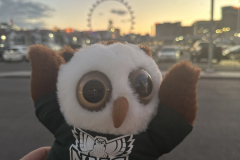 Swoop Ferris Wheel