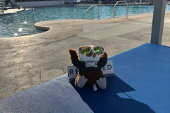 Poolside