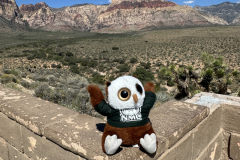 Red Rock Canyon