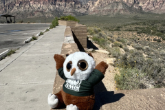 Red Rock Canyon