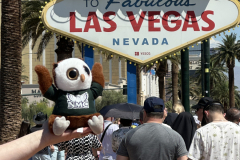Swoop in Vegas
