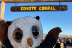 Swoop-at-the-Corral-Sarah-Montgomery-Richards