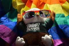 Swoop has Pride