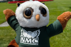 Swoop at the White House