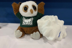 Swoop at the AMS Conference in Houston