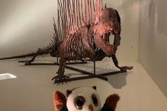 Swoop at the AMS Conference in Houston