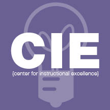 Introducing CIE Teaching Fellows