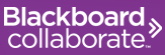Cool Tool:  Blackboard Collaborate