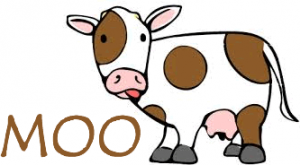 What is a MOOCOW?