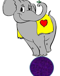 I Want My Old Body (of Curriculum) Back