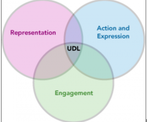 Developing Strategies for Learners with Invisible Disabilities