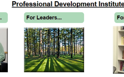 What is the Professional Development Institute?