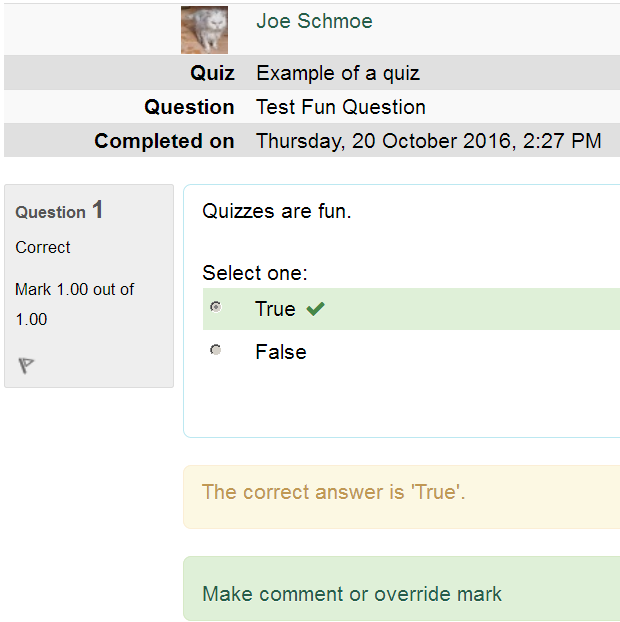 moodle quiz vs assignment