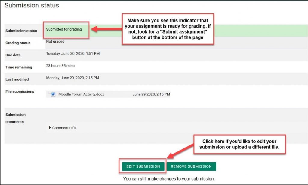 moodle create assignment plugin