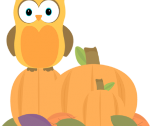 Accessibility Reminder