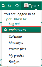 Click on "Preferences"