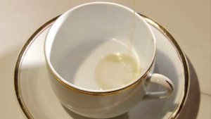 Empty coffee cup on plate