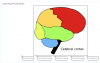 Moodle Question Types – More than Multiple Choice labeling question demo