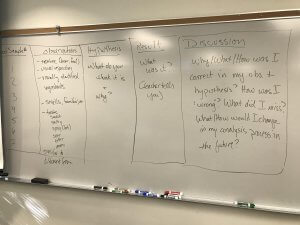 directions for how to document the different samples and experiences