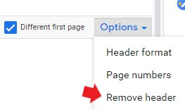 Adding Headers and Footers to Google Docs