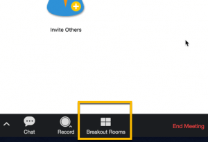 zoom breakout rooms co host