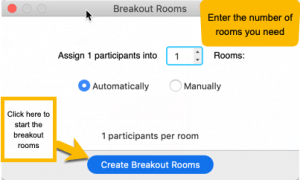Breakout Rooms settings