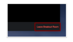 leave breakout room