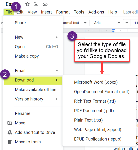 Download your Google Doc as a file