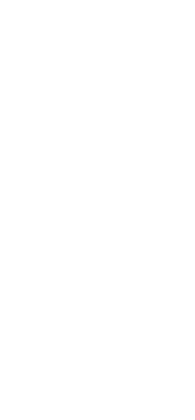 NMC Tree Logo