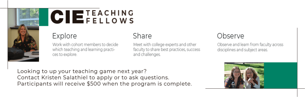Teaching Fellows Banner - Contact Kristen Salathiel to apply