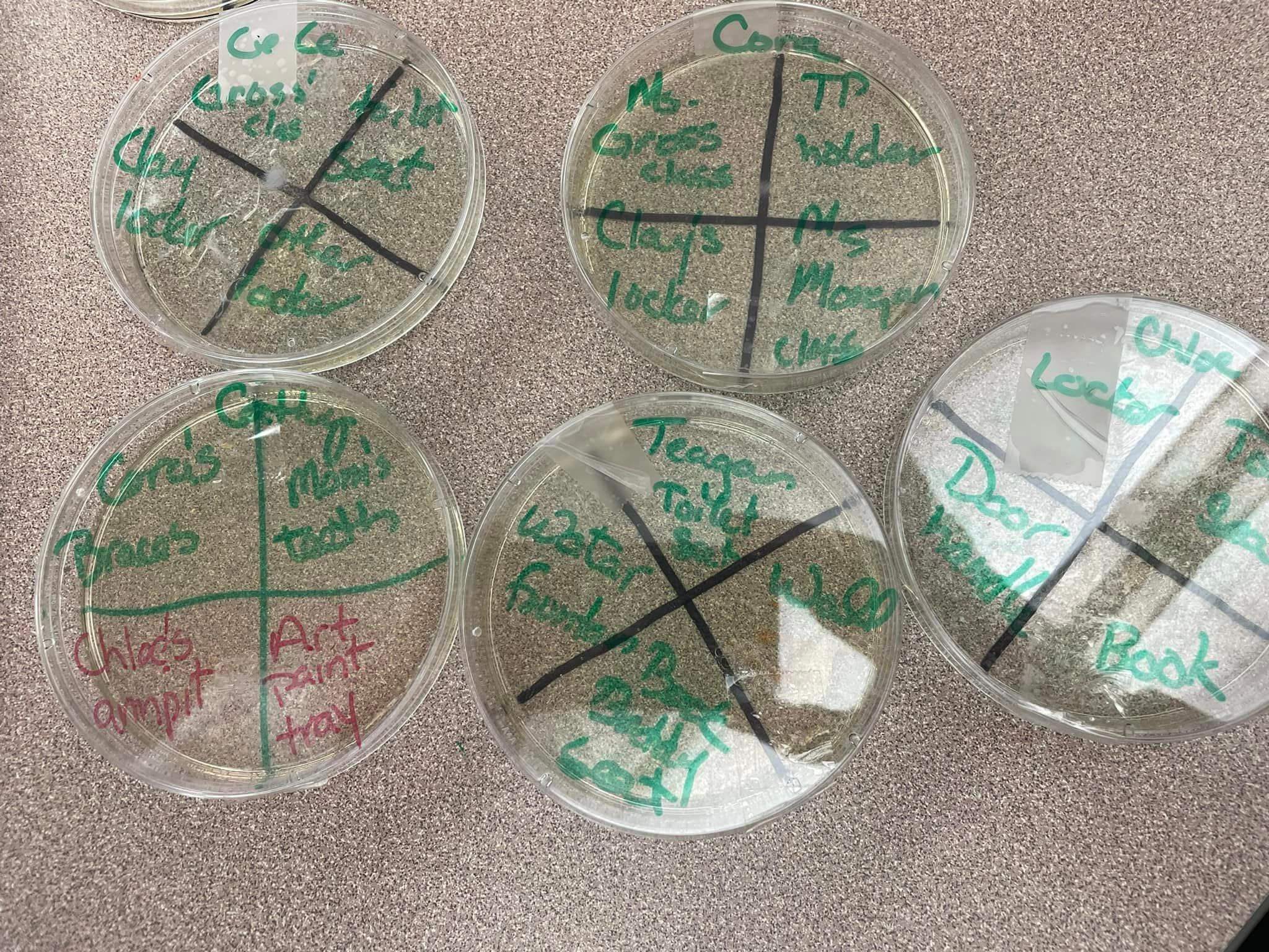 petri dishes labeled with where swabbed