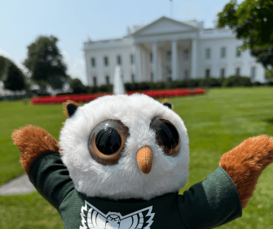 TC to DC: Art Faculty, Ed Tech & Swoop Represent in Washington
