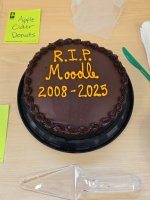 Moodle Cake