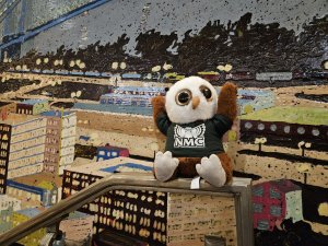 Swoop knows how to have a good time.