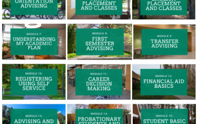 Faculty Advising Course in Canvas