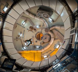 Swoop Floating in a Spacecraft