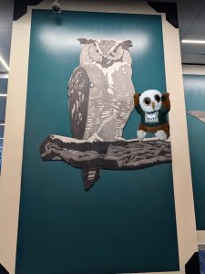 Swoop makes a friend.