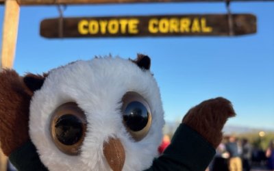 Swooping into the Southwest: NMC Explores Global Horizons in Tucson