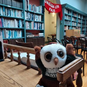 Swoop in Oneida, NY