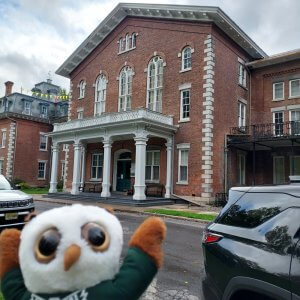 Swoop in Oneida, NY