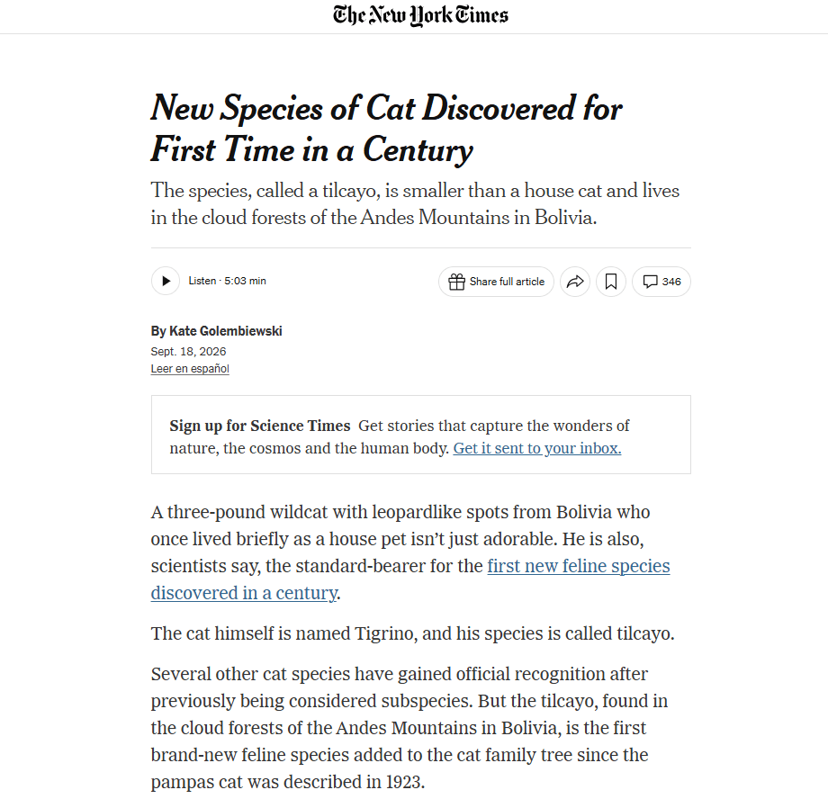 New Species of Cat Discovered for First Time in a Century